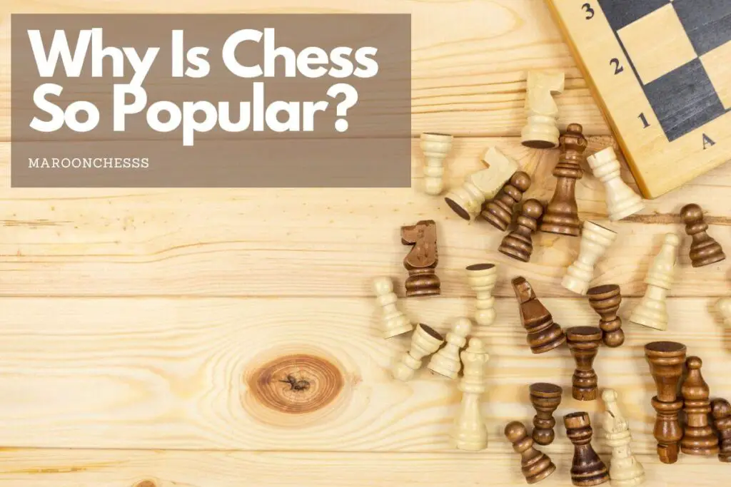 Why Is Chess So Popular? Maroon Chess